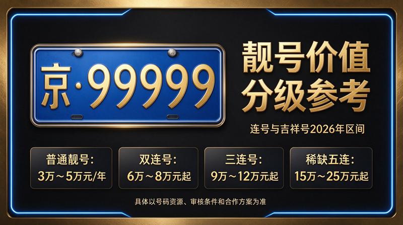 2026年闲置京牌指标市场分析图